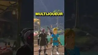 J'ai jou&eacute; en MULTIJOUEUR &agrave; Zelda Breath Of The Wild !