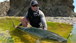 DRAGGER. Break Through Landbased Rod