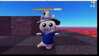 WizardCats