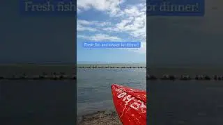 A short video of a great day in beautiful Jamaica