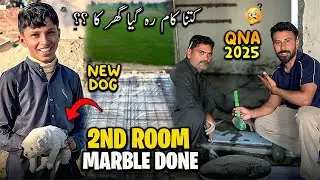 2nd Room Marble Done😍 New Dog Agya 🐕 sb Comments da Reply Kita aj
