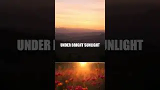 The Infinite Cycle of Light and Color
