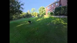 Testing DJI Action 5 Pro 4K settings in shade with Mr Maui