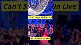 Can&rsquo;t Stop - Violin Live 🎻                               #violin #events #event #wedding