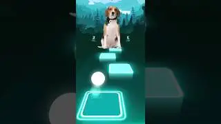 Dog Song  - Tiles Hop Edm Rush #shorts #Dog #tileshopedmrush #youtube