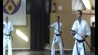 Ruche Wa Jutsu Allinges1 16 Avril 2011 37