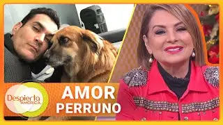 David Zepeda abrió su corazón sobre sus mascotas rescatadas | Despierta América | Hoy | 22 de dic