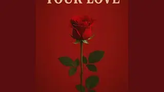 Your Love