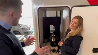 Temafilm: Hund i Bobil.