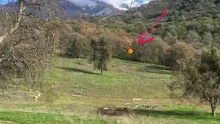My orb story: A strange light in the woods.
