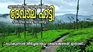 Devala Hatty |  secret Hill station | on tha way to ooty | മൂനാറിനെ അനുസ്മരിപ്പിക്കുന്ന ദേവാല ഹട്ടി