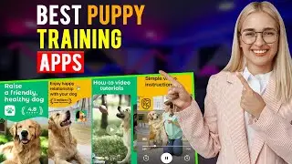 Best Puppy Training Apps: iPhone & Android (Which App is Best for Puppy Training?)