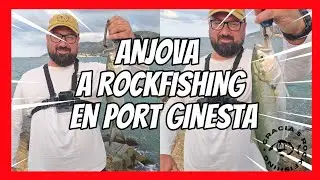 ANJOVA A ROCKFISHING EN PORT GINESTA