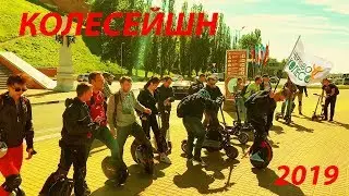 Колесейшн