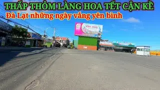 THẤP THỎM LÀNG HOA TẾT CẬN KỀ. ĐÀ LẠT NHỮNG NGÀY VẮNG VẺ YÊN BÌNH