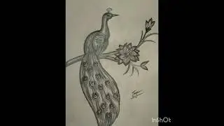 National bird peacock 🦚#sketch 🖌️💐#viralvideo 🔥✨#trending 🦚