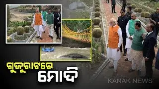 Gujarat Decks Up To Mark PM Modi's 69th Birthday
