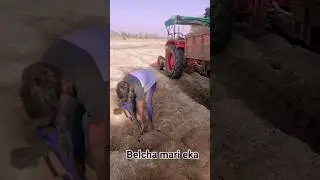 Belcha Mari eka #shortvideo  🤩🤩