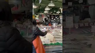 Famous Pike Place Fish Toss 🐟 *Seattle* #shorts