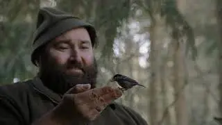 Vom Woife und dem Wald - Natur Dokumentation Trailer / BR / Arte
