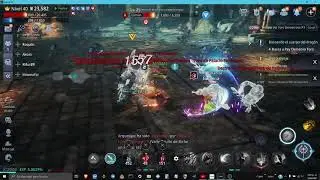 MIR4 SOLO RAID LVL 40 - WHIT PK STATE!!!!