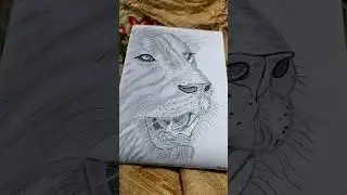 Realistic Lion Pencil Sketch ✏️ Powerfull Animal Art🎨