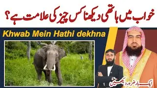 khwab mein hathi dekhna | sapne mein hathi dekhna | Khwab Mein elephant dekhna | khwab ki tabeer