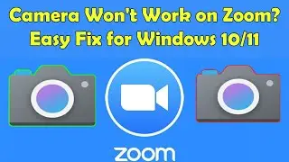 Fix Camera Not Working on Zoom in Windows 11/10 (2025 Guide)