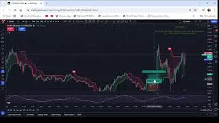 My Real-Time SPY Signal - 24/7 Live Trading Insights! 11.13.24