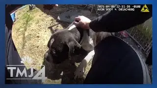 Body cam video shows Racine police officer rescue man, dogs from burning home
