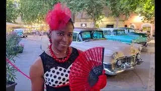 Our Summer Jamboree #24, Senigallia, Italia