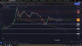 Обзор ALTCOIN и будет ли альт-сезон? (DOGE, SHIB, ANKR, TKO, MBOX, REN, UNFI, EGLD)