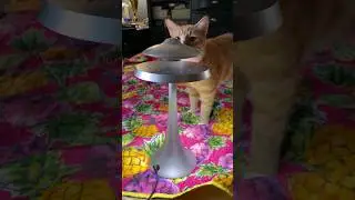 super cool levitating UFO gadget 😎 #shorts