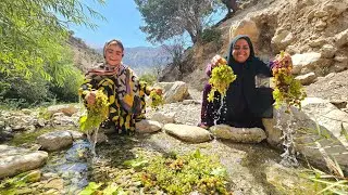 🍇 Crossing Hard Paths for Grape Harvest | Soghra&rsquo;s Nomadic Life for Her 7 Children 🏔️👩&zwj;👧&zwj;👦