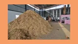 Consultancy for Biomass Project, Energy, Dryers, Pellet Machine, Briquette Machine, Gasifier, Hammer