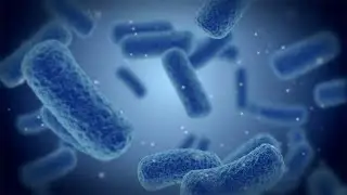 Revealing what makes bacteria life-threatening