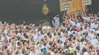 Kaaba Live🔴 | November 12, 2024 | Jumma Mubarak | beautiful View Masjid Al Haram | Makkah official