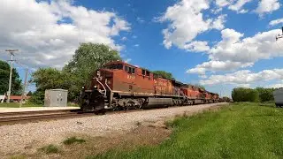 CP 9717, CP 9376, CP 8126, CP 8119