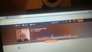 When you make wook bass for the first time