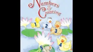 Numbers and counting