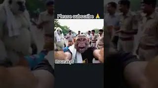 &ldquo;Monkey Daily Vlog 😂 | Smart Monkey Doing Human Things | Raunak YouTube&rdquo; #MonkeyVlog #shortvideo