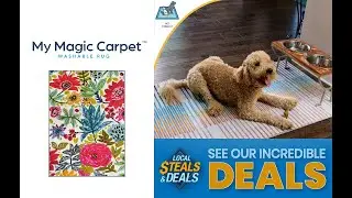LOCAL STEALS & DEALS - My Magic Carpet