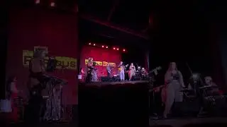 The Furious Bongos- Sharleena/Tell Me You Love Me