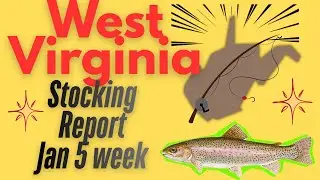 WV Stocking Report (Jan 5th Week) 