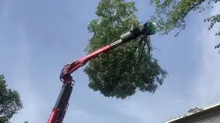 AH Vrij Boomkap Rijswijk