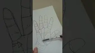 قراءة الكف ... علامة المال ، ازدواجية خط زحل ونجمة المشترى .📈📈✳️