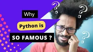 The Rise of Python: Understanding its Popularity