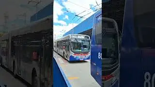 Caio Apache VIP 4 e Millenium 5 em Santo Andr&eacute; #shortsvideo #onibus