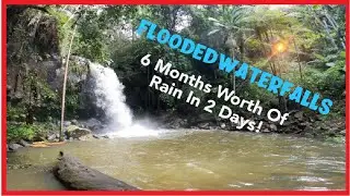 Flooded Waterfalls! | 6 Months Worth Of Rain In 2 Days! | Mt Tamborine | Curtis Falls | Cedar Falls