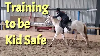 Horse Training: How to Train a Horse to be Beginner & Kid Safe